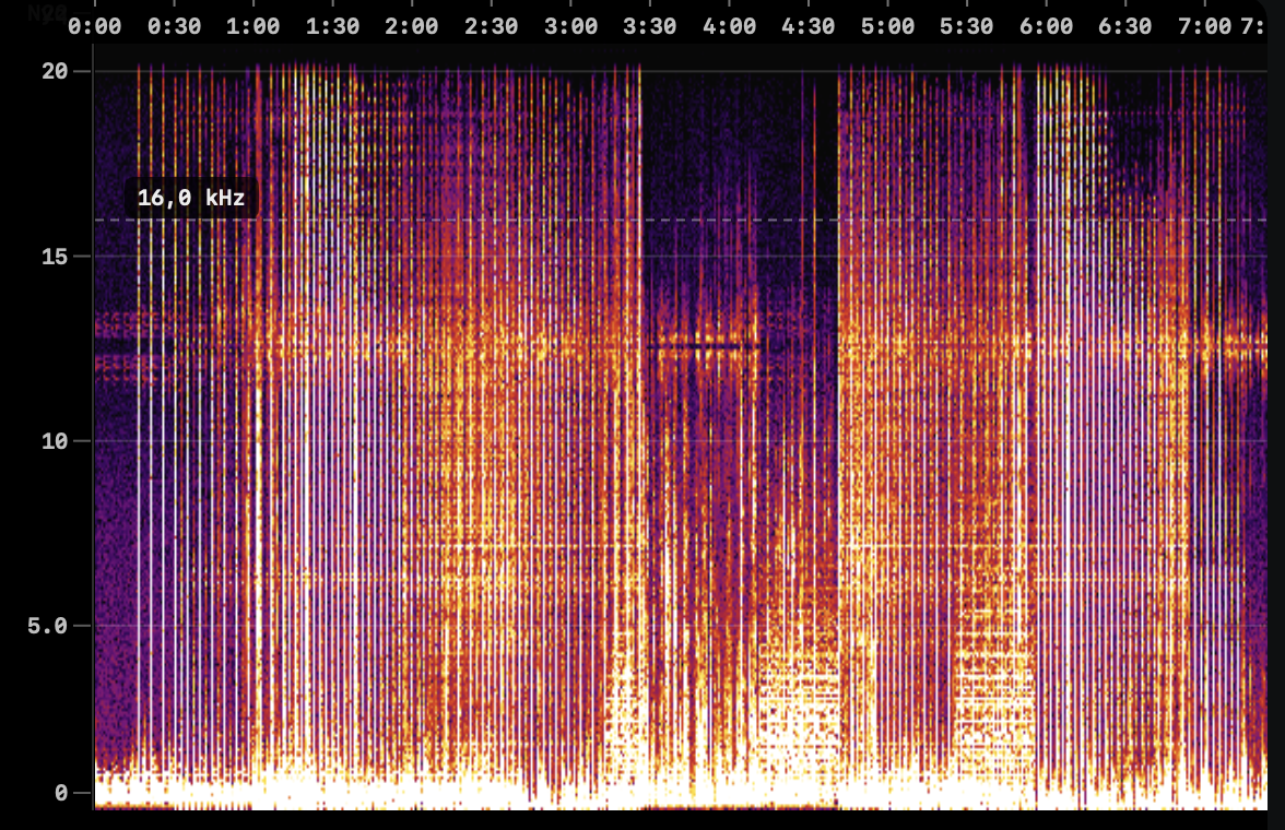 BPMSupreme Download Quality: WAV or Fake WAV?