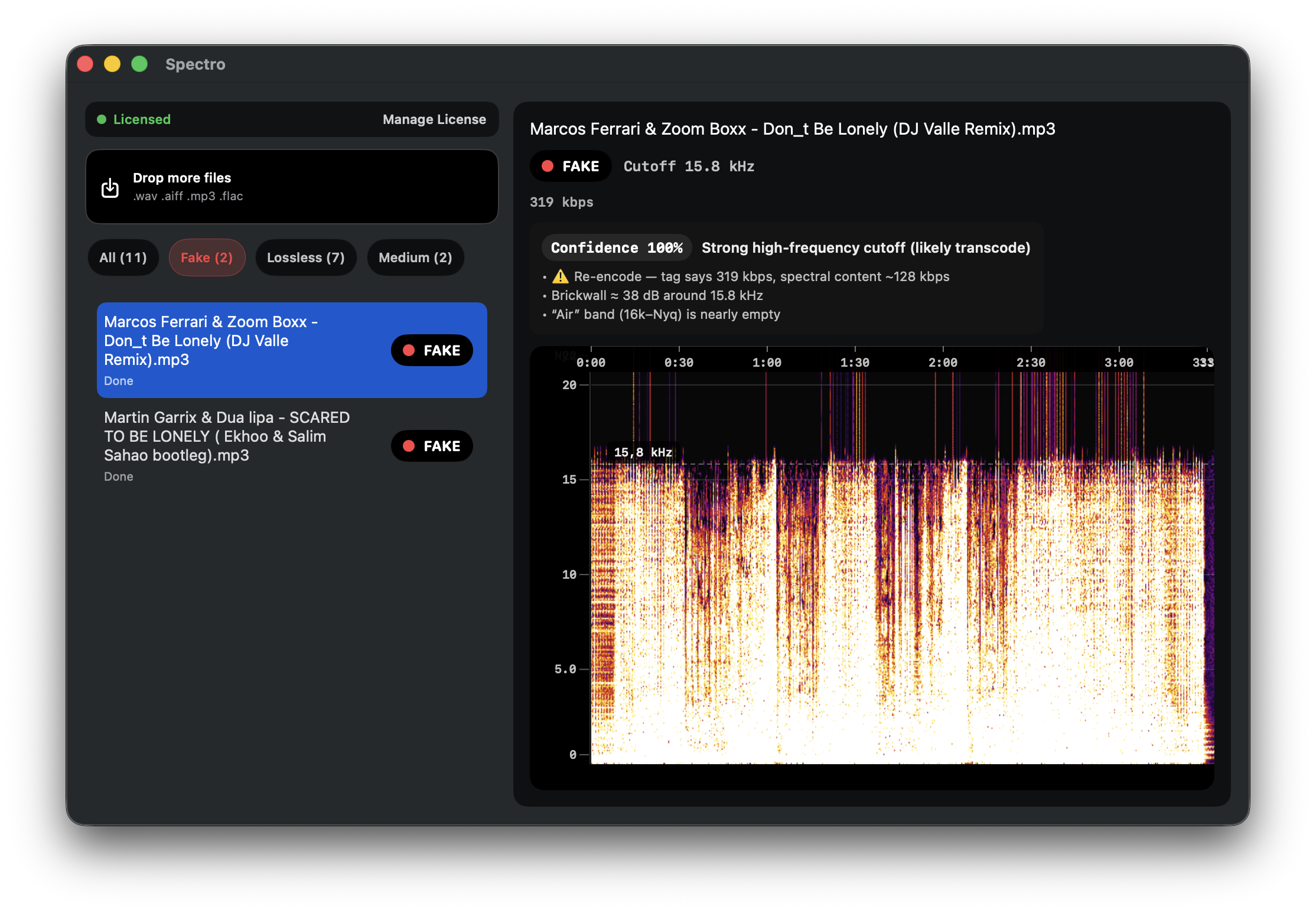 Spectro filtered to show only FAKE verdict files from a DJ library audit