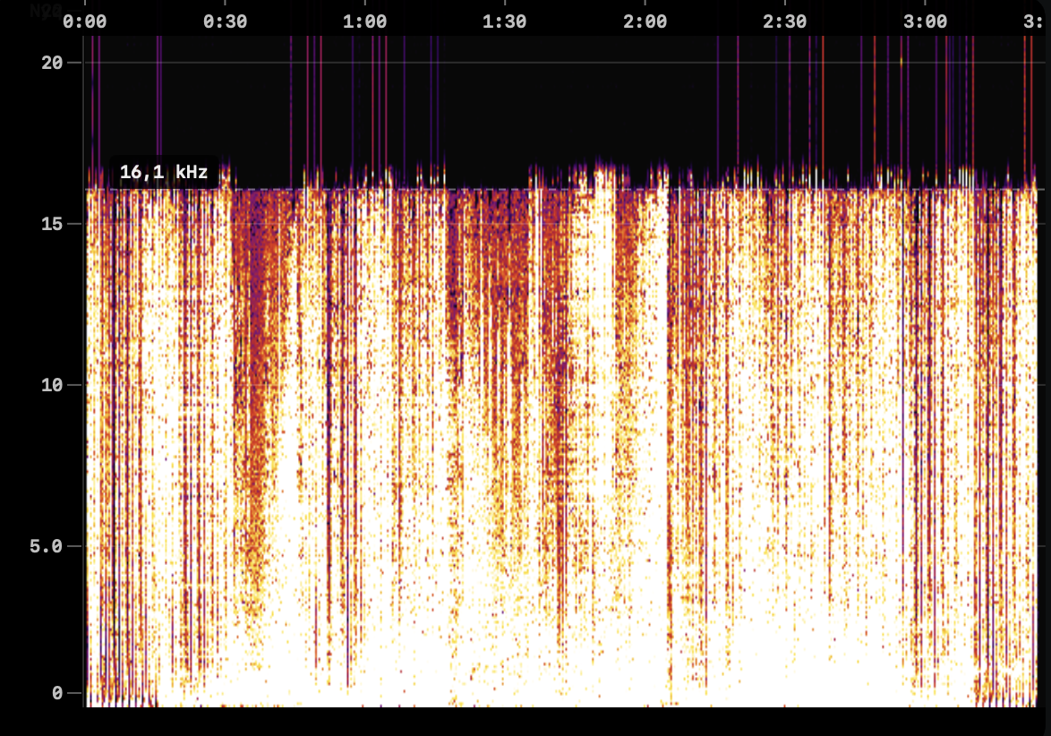 Spectrogram with cutoff at 16.1 kHz showing another fake lossless file
